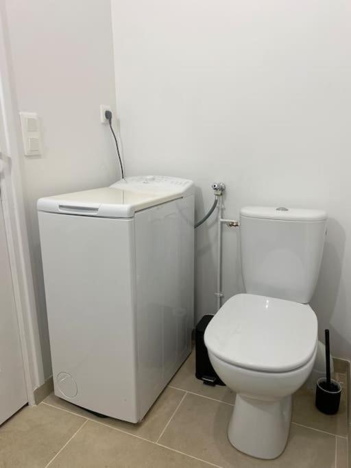Appart Renove En Duplex Avec Terrasse Et Garage Bouleurs Bagian luar foto
